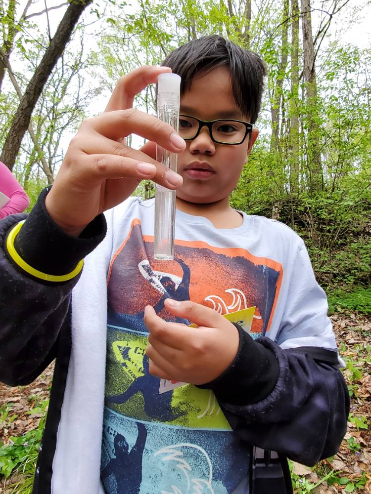 Student observes stream water in a test tube